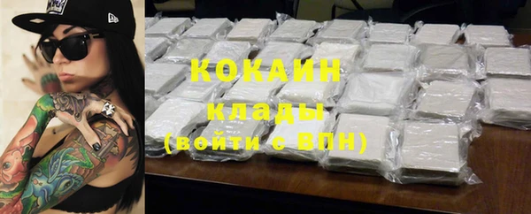 стаф Алзамай
