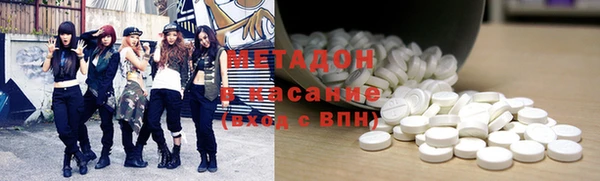 стаф Алзамай