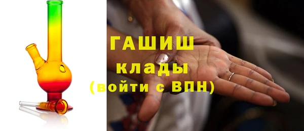 стаф Алзамай