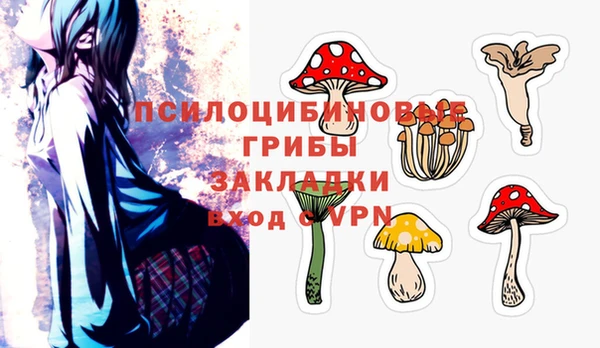 стаф Алзамай
