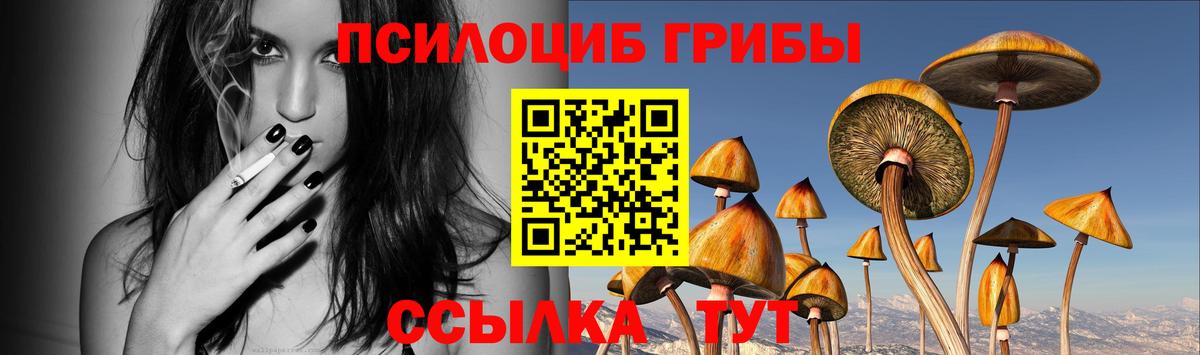 Углич  Псилоцибиновые грибы GOLDEN TEACHER  Вход с VPN  Галлюциногенные грибы ЛСД 